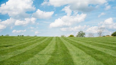 Green lawn field under blue sky