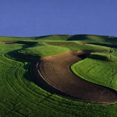 Aerial View of Curved Golf Course Fairways