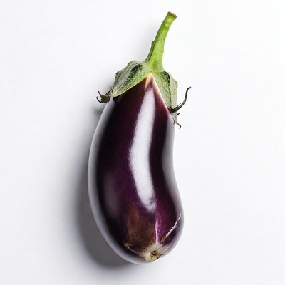 Purple eggplant on white background
