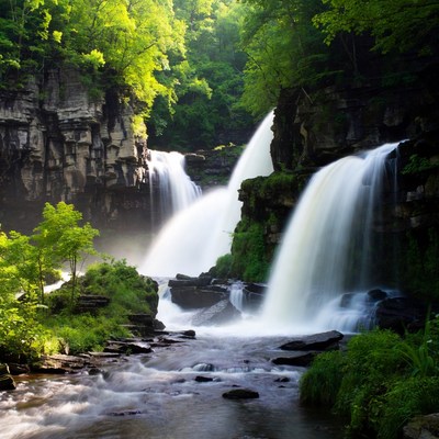 Majestic Waterfall in Lush Forest