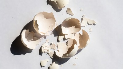 Broken egg shells on white background