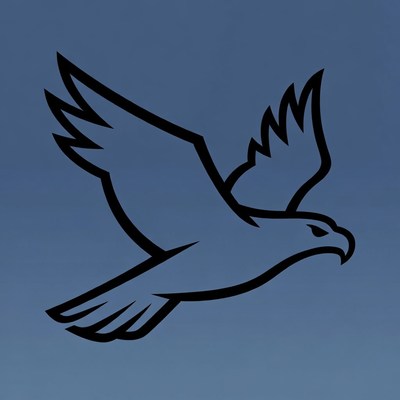 Flying Eagle Silhouette Illustration