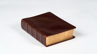 Brown leather-bound book
