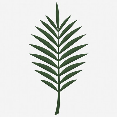 Green Palm Frond Illustration