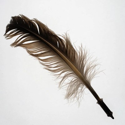Brown feather quill pen