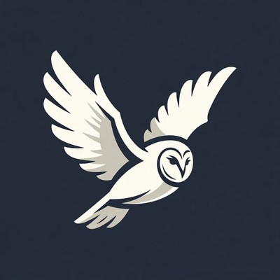 Flying White Owl Illustration