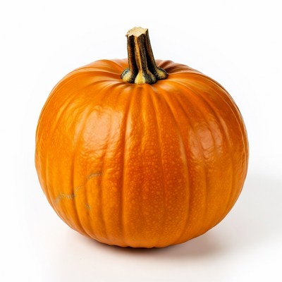 Orange Pumpkin with Stem