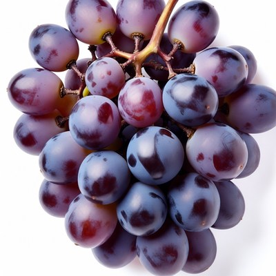 Bunch of Purple Grapes