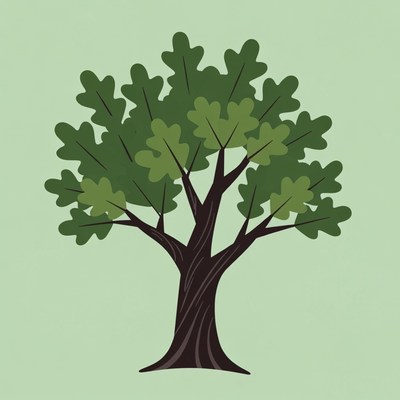 Green Oak Tree Illustration