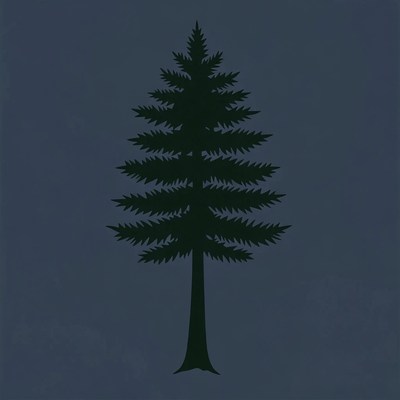 Silhouette of pine tree