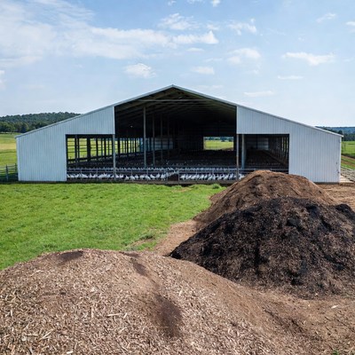 White Barn with Chickens and Manure Piles