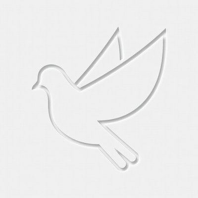 White Dove Flying Silhouette