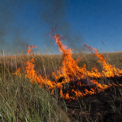 Grass Field Burning Under Blue Sky