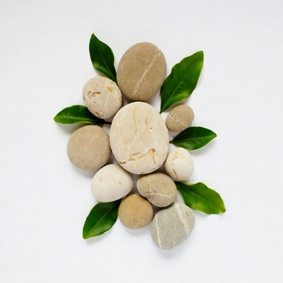 Pebbles and Green Leaves Arrangement
