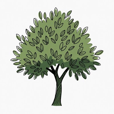 Green Tree Illustration