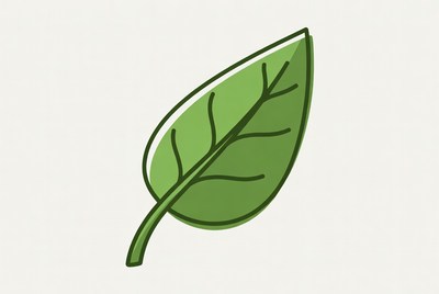 Green Leaf Illustration