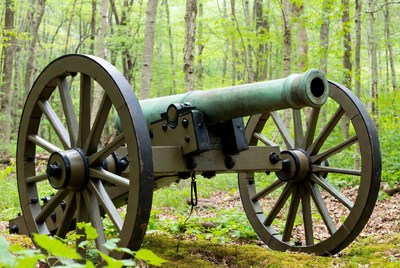 Civil War Cannon in Forest