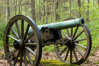 Civil War Cannon in Forest