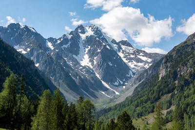 Snowy Mountain Peaks in Green Valley