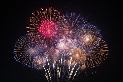 Colorful Fireworks Bursting in Night Sky