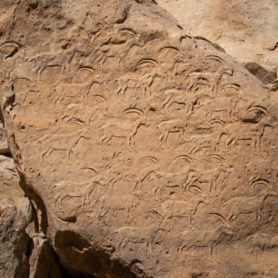 Ancient Rock Carvings of Ibex Herd