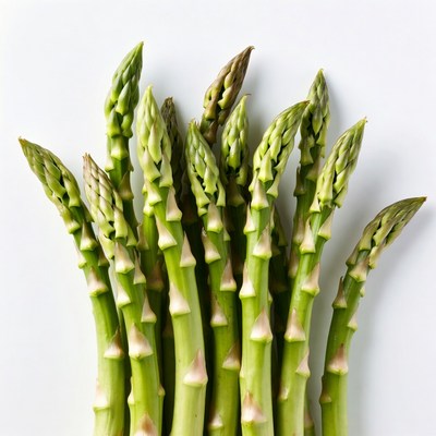 Fresh asparagus spears on white background