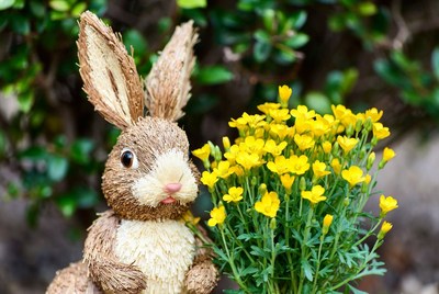 Bunny with yellow flowers