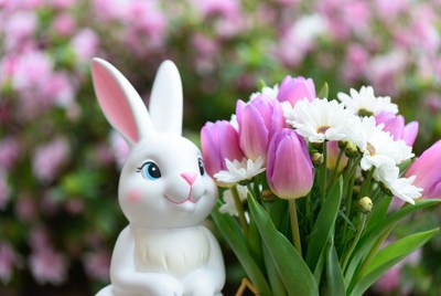 White bunny with tulips and daisies