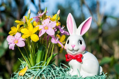 White bunny with yellow pink flowers
