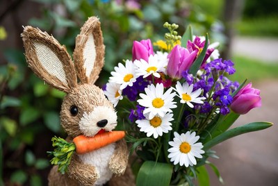 Bunny holding carrot with flowers
