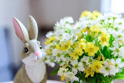 Cute bunny with yellow daisies