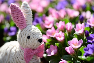 Crocheted Bunny with Pink Bow in Flowers
