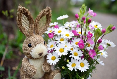 Straw bunny with daisies