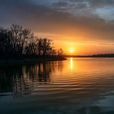 Sunset over lake with bare trees