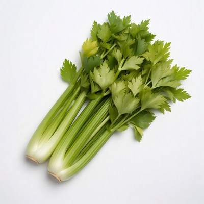 Fresh celery stalks on white background