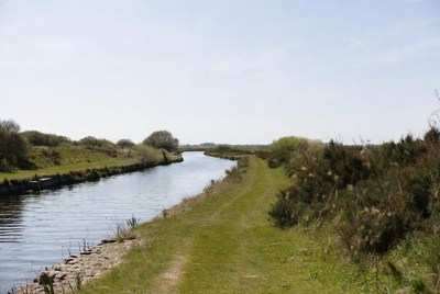 Narrow canal with grassy paths