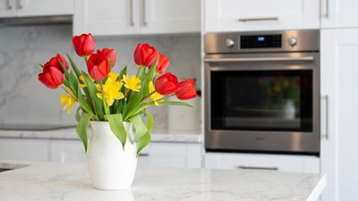 Red and Yellow Tulips in Vase on Kitchen Counter