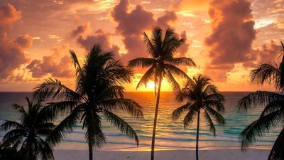 Palm Trees at Tropical Sunset Beach