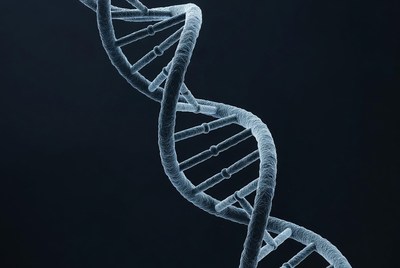 Double Helix DNA Structure