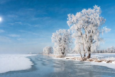 Frost-covered trees by frozen river