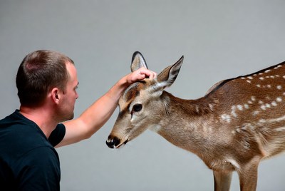 Man petting young fawn