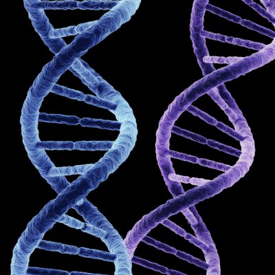 Blue and Purple DNA Double Helix