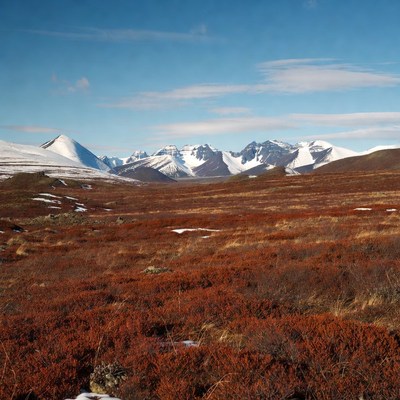 Snowy Mountains over Red Tundra Landscape