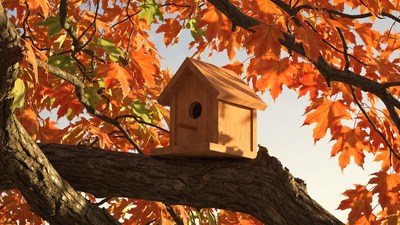 Birdhouse on autumn tree branch