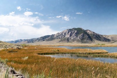 Mountain with Wetlands and Grasses