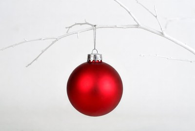 Red Christmas ornament on white branches