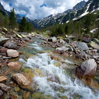 Mountain Stream Flowing Over Rocks