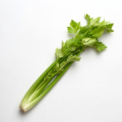 Fresh Celery Stalks on White Background