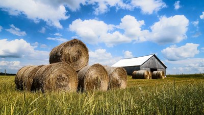 Hay bales near barn