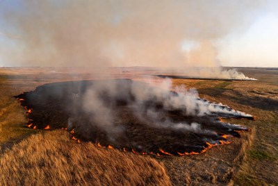 Grassland Wildfire Burning in Field